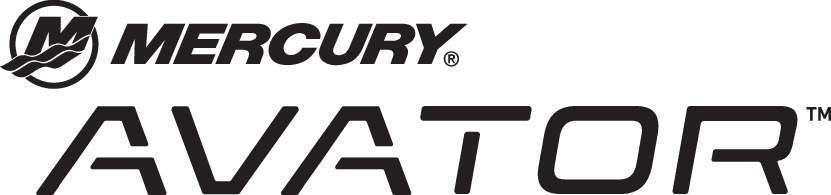 Logo Avator